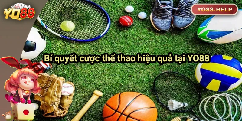 Chia sẻ kinh nghiệm cá cược thể thao hiệu quả